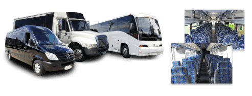 charter bus rental