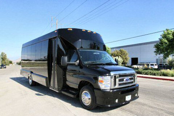 Medium Black Party Bus Garland